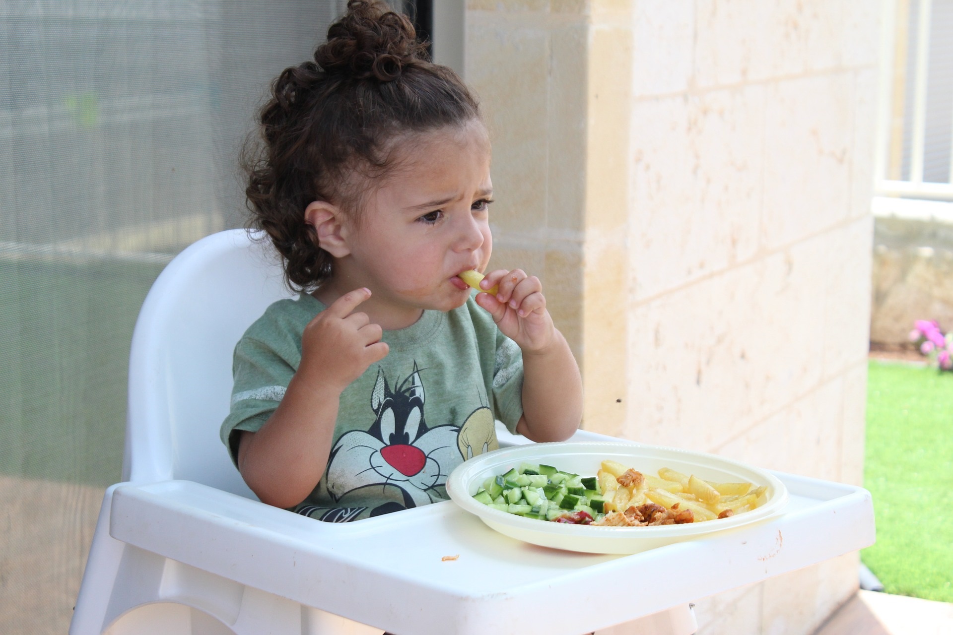 toddler picky eating